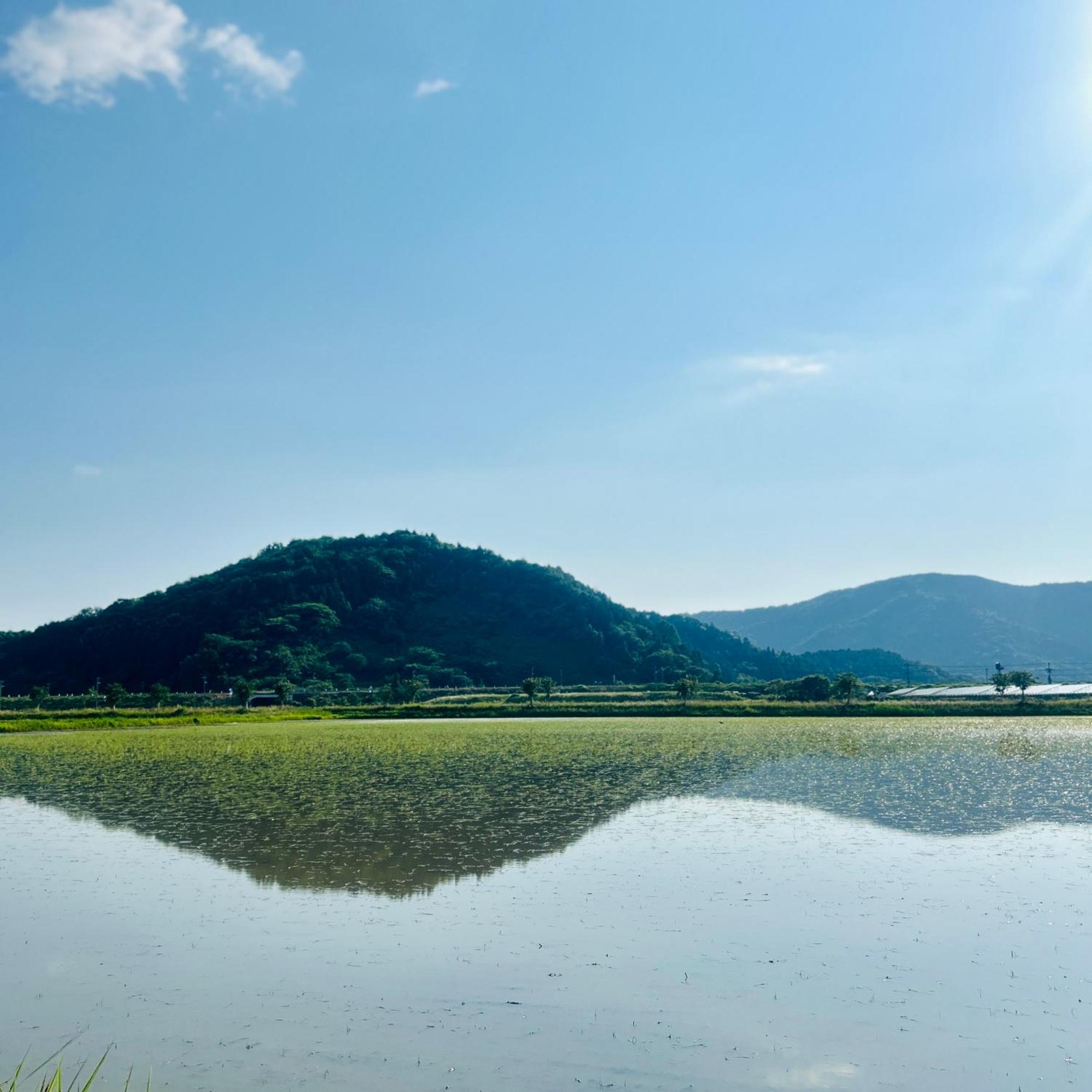 湖北 寺の宿-去-来-現ko-Rai-Gen Nagahama  Eksteriør billede